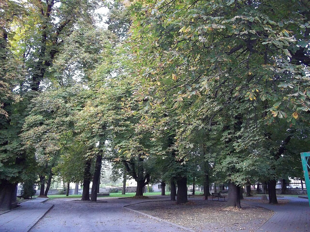 Ogród Saski